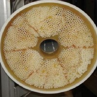 Hollow fiber ultrafiltration membrane for petrochemical grey water application ultrafiltration membr